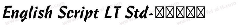 English Script LT Std字体转换
